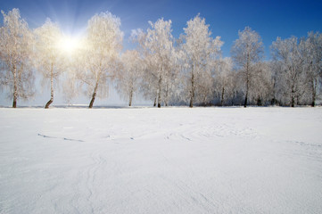  Snowcovered fields on blue sky