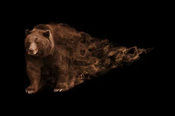 Foto op Aluminium brown bear animal kingdom collection colorfull wildlife image with amazing effect © Effect of Darkness