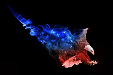 Zelfklevend Fotobehang vlag van de verenigde staten american bald eagle dierenrijk collectie kleurrijk wildbeeld met verbluffend effect © Effect of Darkness
