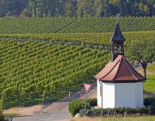 view across the vineyards of Baden Germany, towards a small chapel near Durbach, Ortenau region of Germany