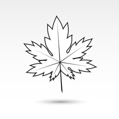 Maple leaf icon on white background