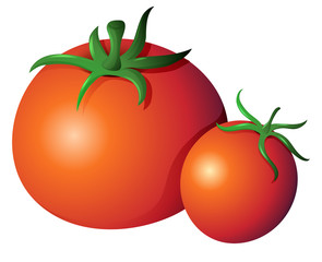 Red tomatoes on isolated white background