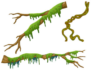 Wooden sticks with green moss