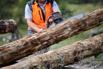 Baumsägearbeiten mit Kettensäge