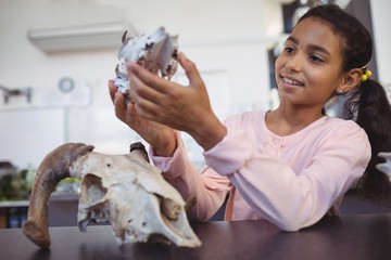 Happy elementary student examining animal skull by desk - Powered by Adobe