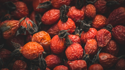 close-up of dried berries rose hips