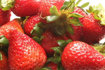 Strawberry Bunch