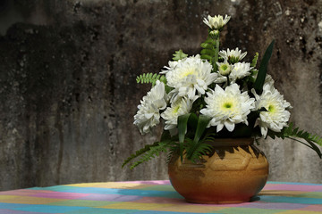 White chrysanthemums or mums flowers in brown vase on the table beside the dark wall. Selective focus and Still life style as space for text.