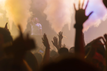 people having fun in concert party DJ and Celebrate with fun all night. Party concept 
