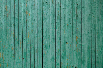 old wooden wall, green background