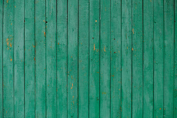 Fototapeta premium old wooden wall, green background