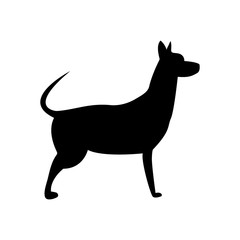 dog symbol of the new 2018 year 