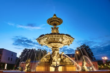 Photo sur Plexiglas Fontaine Baroque fountain in the evening in the city of Troyes in France.