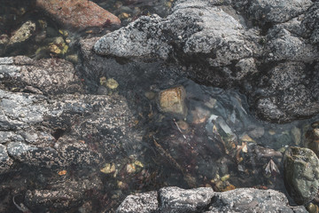 Rocky Beach Texture