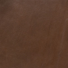 Fototapeta premium Leather texture background for fashion design background.