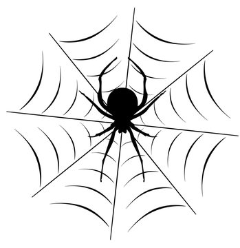 Vector Spider On the Web