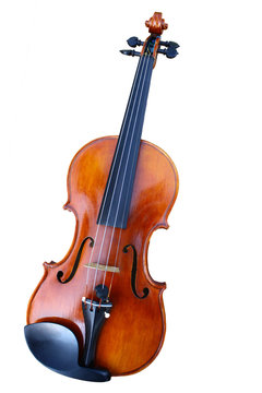 Single classical violin isolated on white background