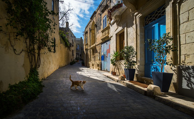 Fototapeta na wymiar Life on the streets of Birgu. Valletta. Malta.
