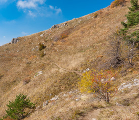 Hiking path on a mountain pasture Demerdzhi at fall season, Crimean peninsula