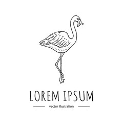 Hand drawn doodle pink Flamingo icon isolated on white background. Vector illustration. Zoo related icon - Colorful bird. Sketchy element. Cartoon wild animal Wing Beak Long neck, legs
