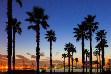 Sunset of seaside park