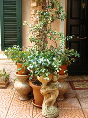 Fototapeta na wymiar Home various flowers in pots. Design Italian courtyards