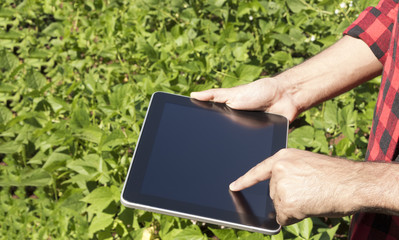 Farmer using digital tablet computer in cultivated soybean field plantation. Modern technology application in agricultural growing activity. Concept Image.