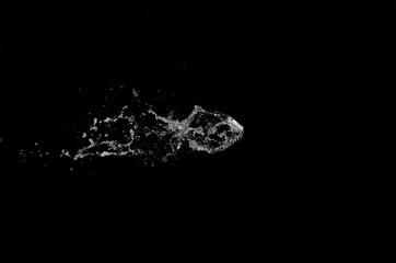 water jet in the shape of a fish isolated on a black background