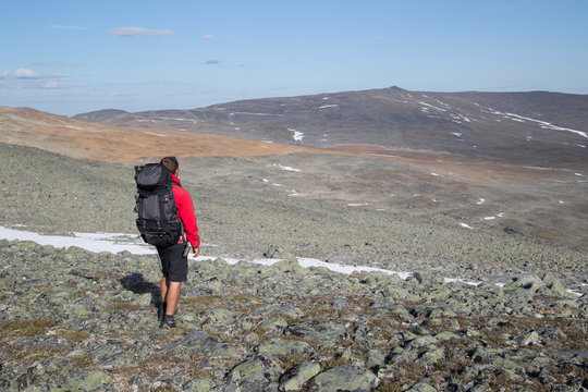 Hiker stands on mountain, on the horizon the Halti peak, view from southwest, summer 