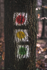 Natural Traffic Light