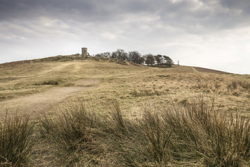 Grey Day At Bradgate Park