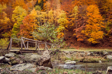 Autumn in the forest. Old wooden bridge over a mountain river.