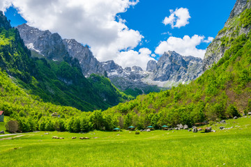 Scenic green meadow on the background of high peaked rocks.