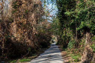 Italy, Ercolano, Volcano Vesuvius,