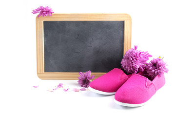 pink kid shoes and flowers in front of a writing blackboard with copy space isolated on a white background, concept International Day of the Girl Child