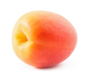 Apricot isolated on white background