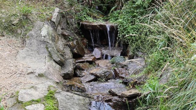 Źr&oacute;dełko, strumyk
