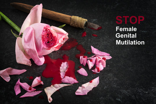 Stop female genital mutilation, cut rose blossom, blood and knife on a dark stone background with text, concept zero tolerance for FGM