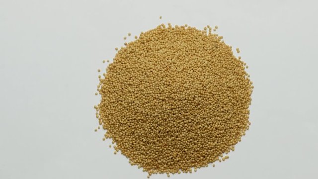 Amaranth seeds rotating on white background. Close up
