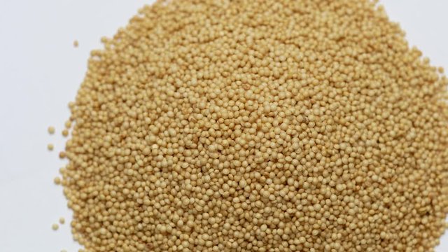 Amaranth seeds rotating on white background. Close up
