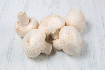 Fresh raw champignon mushrooms