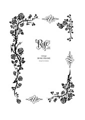 Obraz premium Rose floral black frame