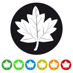 Leaf Web Icon