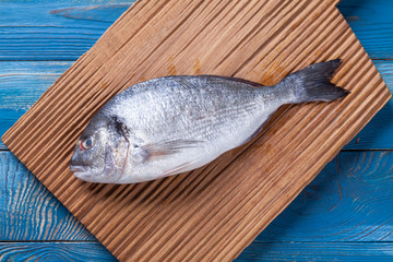 Fresh dorada fish on wooden cutting board. Fresh raw fish on blue table background. Healthy food concept. Fresh uncooked fish, dorado, sea bream, top view.