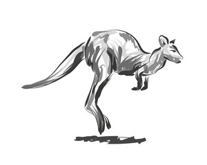 Vector line sketch leaping kangaroo