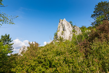 White rock at Palava czech republic. Rock placed in trees and forest