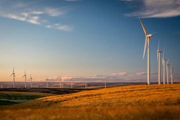 Wind mill turbines producing green power at sunset.