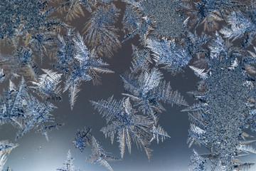 Ice flowers on glass - texture and backgrounnd
