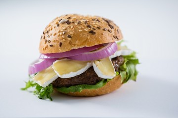 Close up of burger with cottage cheese