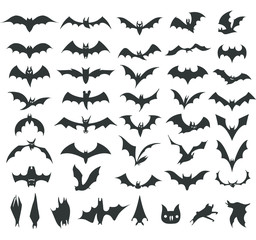 Silhouettes of bats